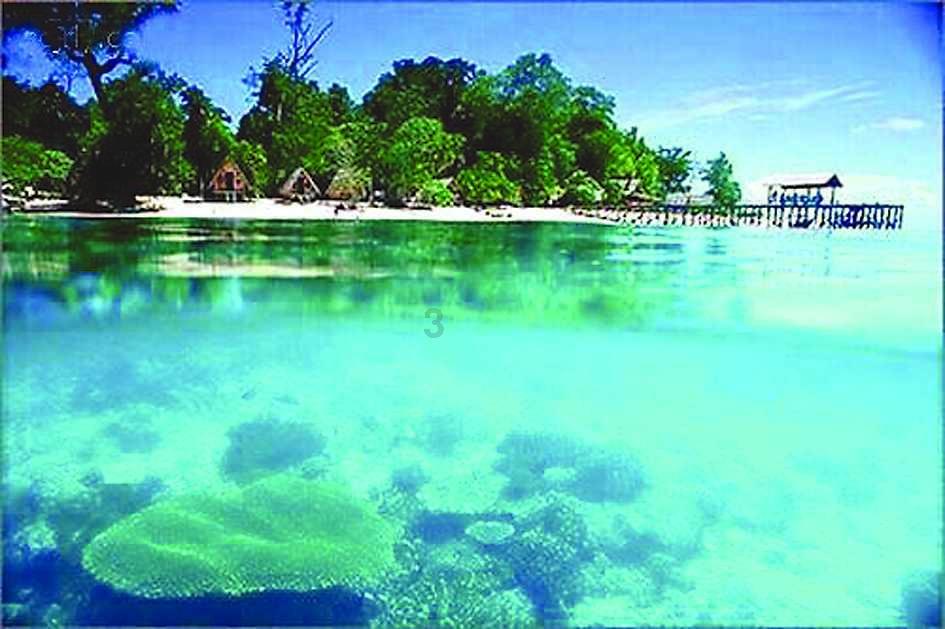 甲流乙流后咳不停怎么办?