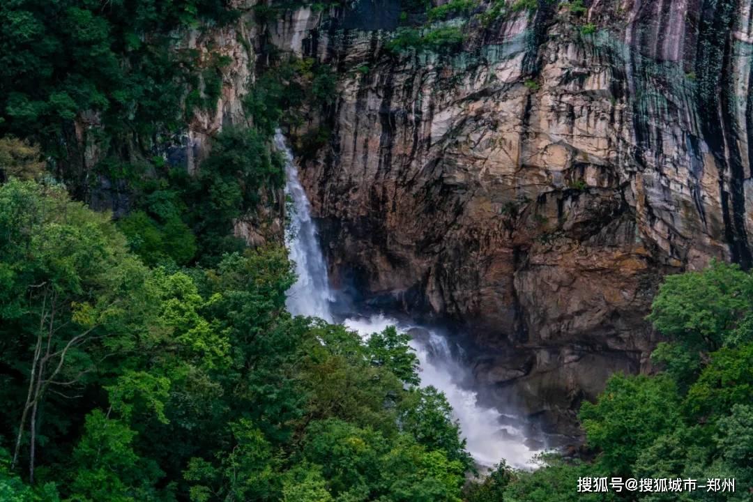 救援鹦鹉